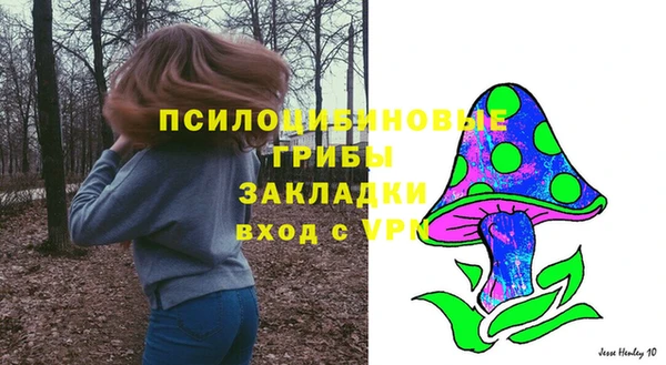 соль ск Абаза
