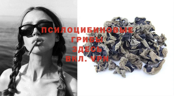 стаф Абдулино