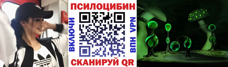 Псилоцибиновые грибы мухоморы  где купить наркоту  Аткарск 