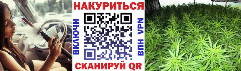 Канабис Bruce Banner  Аткарск 